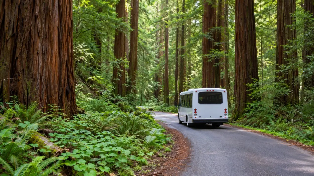 Un autobús de transporte en una carretera estrecha y sinuosa a través del bosque